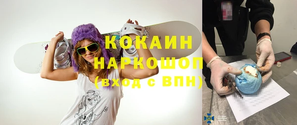 стаф Алексин