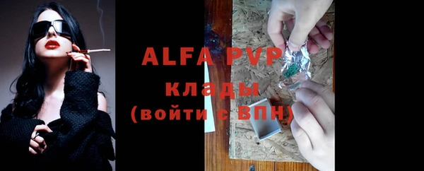 стаф Алексин