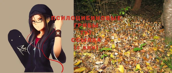 молекула духа Пересвет