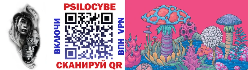 Галлюциногенные грибы Psilocybine cubensis  Феодосия 